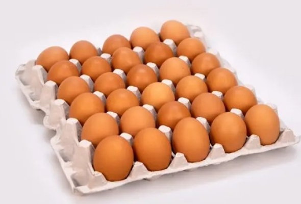 كرتونة بيض احمر